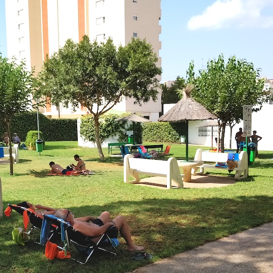 Playmon 2-6 Garden Picture