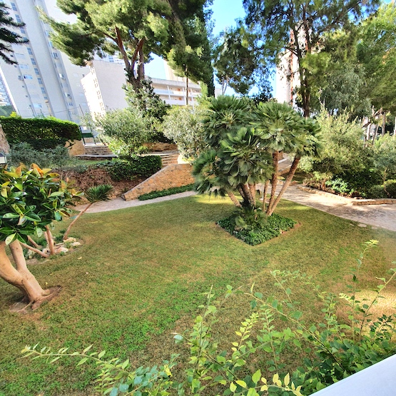 Playmon 2-6 Garden Picture